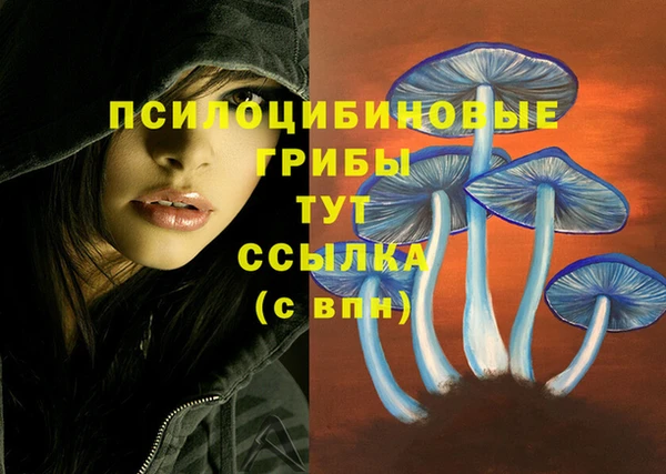стафф Навашино
